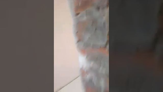Как нельзя штукатурить стены