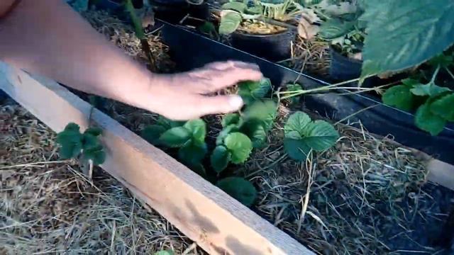 E4394de567400d93849d7074e03cbf8b