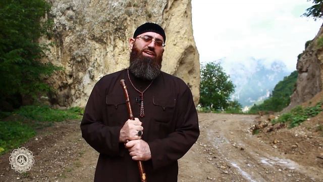 Благородные плоды зикра