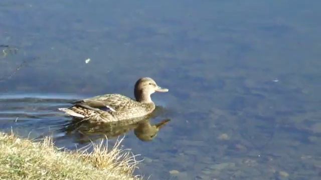 43541540379c44fb807f9b5d18ddcf31