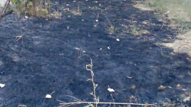 A11d459de2ec6691d1808cd34b90bd1e