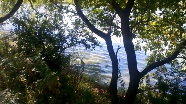 48444a91eca3f5966438e82955d08352