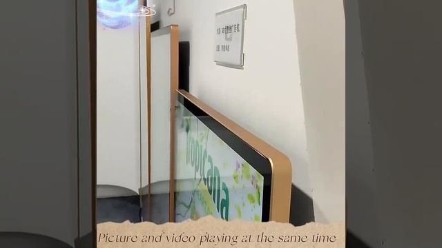 Wall-mount Displays Screen Digital Signage Advertising Screen