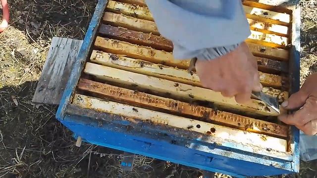 Рутовская система пчеловодства.