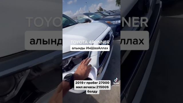 +971 58 136 4675 Медер Дубай