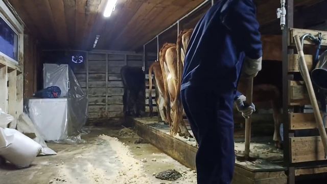 Отсос молока или сбой в системе !