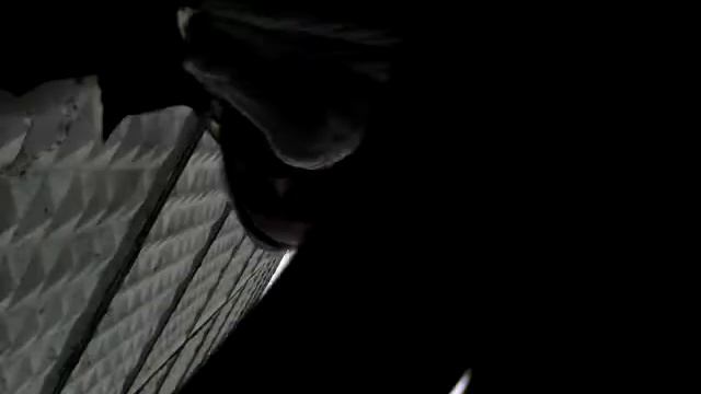 VLOG: Котёнок