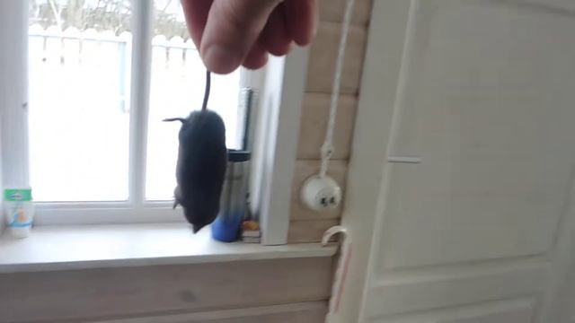 B1e6f4f8bdf4a23a89957ade3d87b762