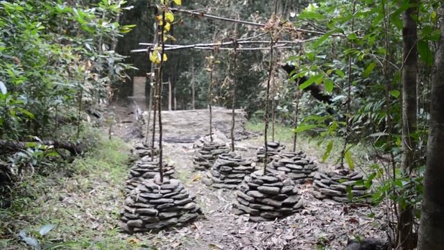 Primitive Technology Hut Burned Down Built New One