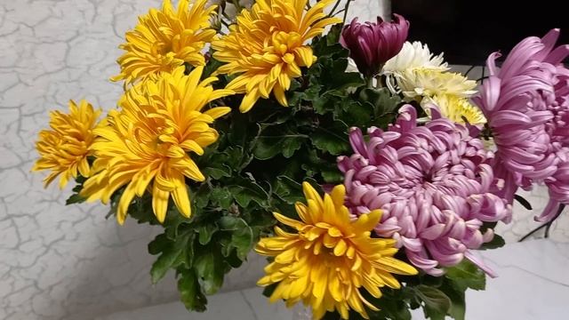Букет из хризантем выращенных на даче. 30.10.2023год.