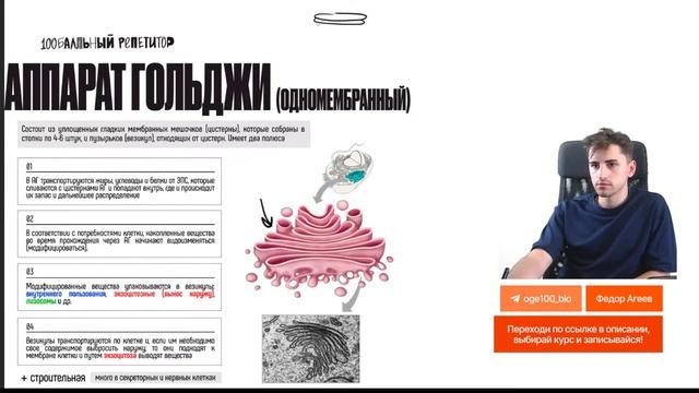 Строение эукариотической клетки | Биология ОГЭ – Федор Агеев | 100балльный