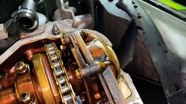 Спортовый Дозор