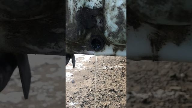 Замена и ремонт: Шевроле, Форд, Ауди