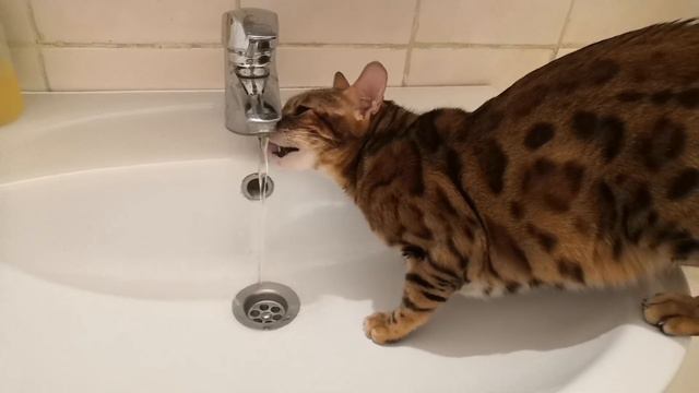 Изабелла впервые пьёт воду из под крана....