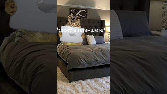 72d117fc6dd109d7d8d63ca0ade37fac