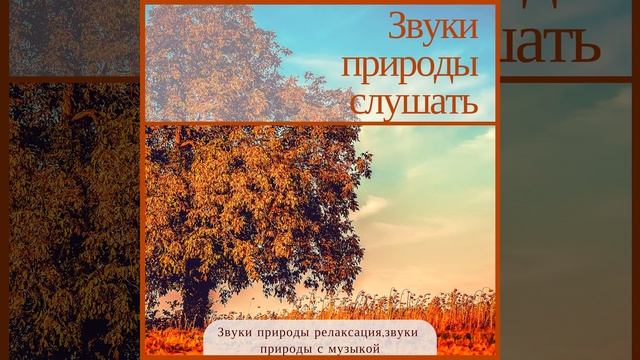 Легкий ветер