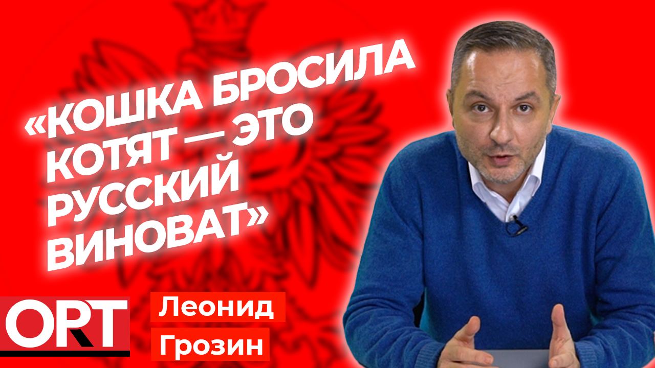 Кошка бросила котят — это русский виноват | Мысли вслух с Леонидом Грозиным