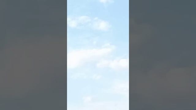 Вид на ВДНХ с колеса обозрения 