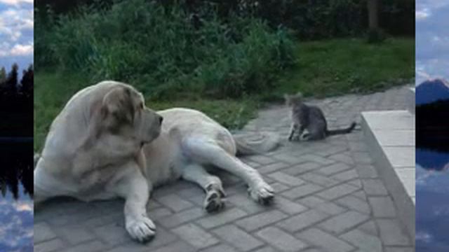 0113de76404d970165ec2383b0dcb9d9