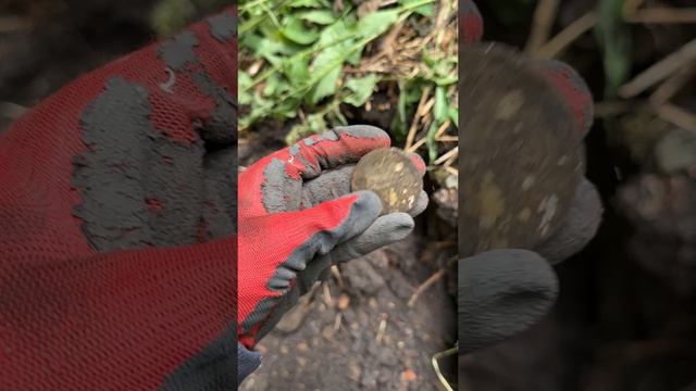 Закладная монета на углу😍 #shorts #коп #раскопки #шурф #история