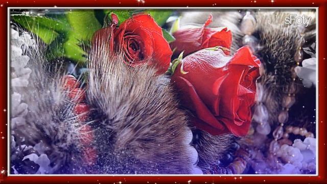 Все эти розы только для тебя!