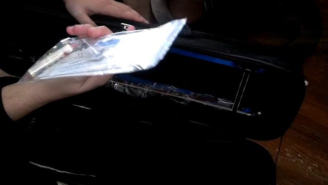 Louis Carpini G2 Violin Unboxing/First Impressions