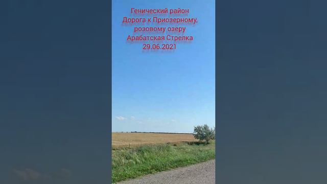 Генический район дорога к Приозерному розовому озеру