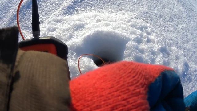 473886f7706547d3b773a40623720b94