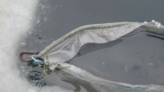 1c5dc65d8859dd987c2691554c331581