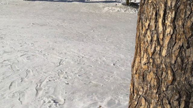 Катаемся ЗИМОЙ на гироскутере