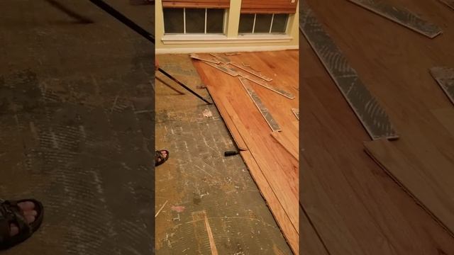How to remove glued down engineered wood floors the easy way. DIY and no power tools.
