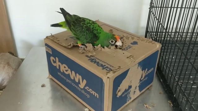 F78ba18c2a3958766f8d227f6b517950