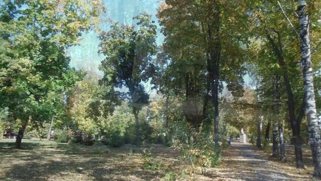 дежавю осеннего парка (Староюрьево)