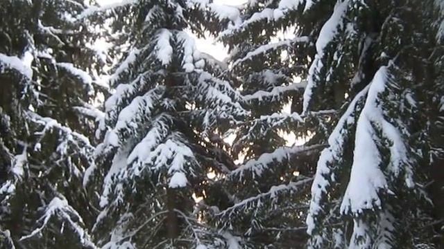 С Рождеством Христовым !!! Зимняя,  лесная РЕЛАКСАЦИЯ !   Красавица Карелия!