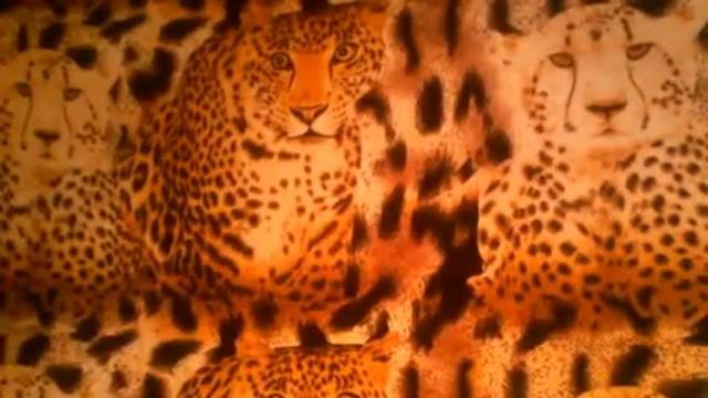 Идеи для бизнеса