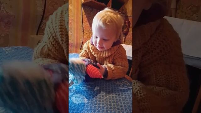 Знакомство со старым домом