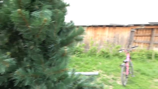 Сломался микрофон, извините.  Видео с шумом .Купили фрукты на присланные деньги для Саши. 04.06.21.