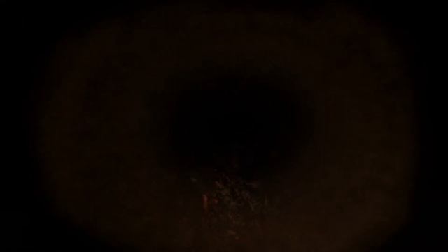 02cb7cf56f56cef1097aef7f20f240ed