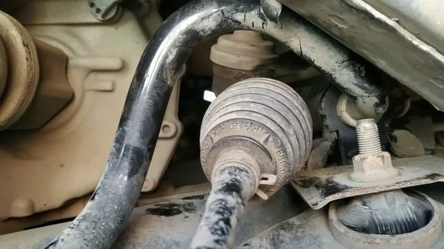 Катерина Хатунцева