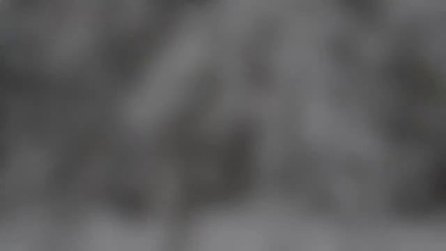 Первая и последняя любовь музыка и исполнение: Олег Сапегинстихи: Татьяна Зуева