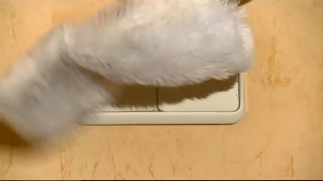 11811678e056f9bebbbb1005017157ba