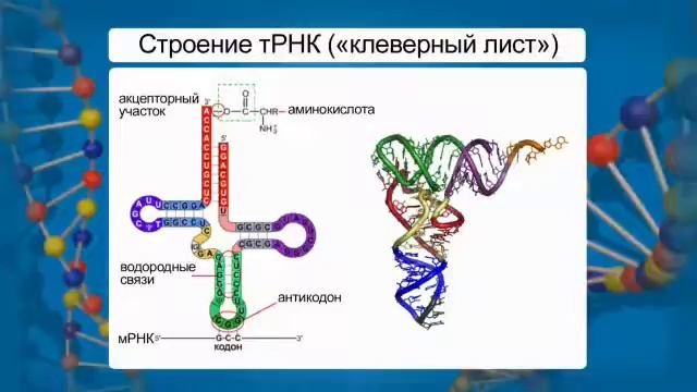 Секреты Творческой Силы