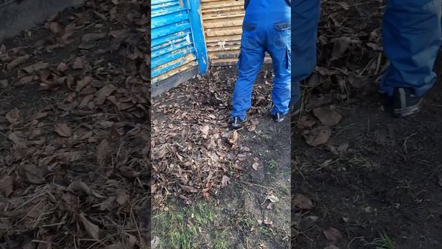 Уборка территории и многое другое.