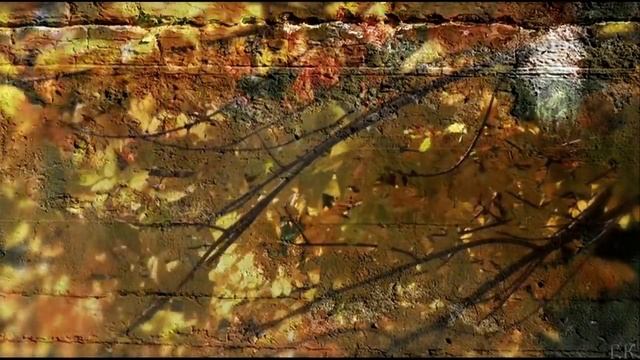 D4fbd06625f106da04c768ba937acd16