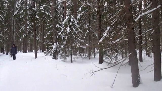 Расскажи мне сказку на ночь  - Автор Анна Гетьман музыка и поёт Владимир Александров