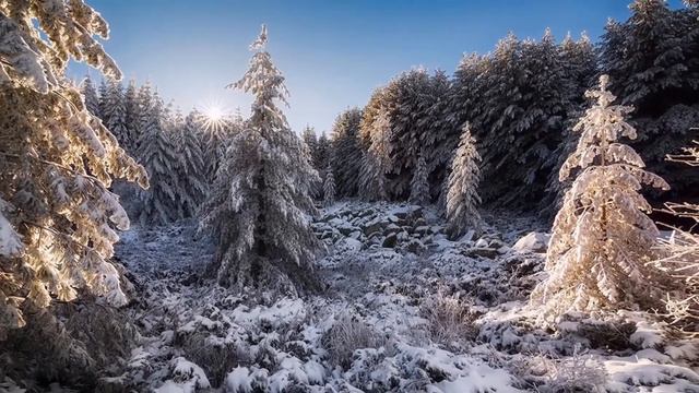 Лучшие композиции Сергея Чекалина...музыки для души!