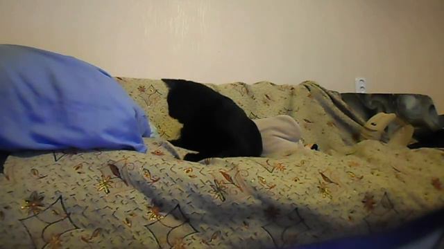 5632013af23be2d0a4614b526478b467