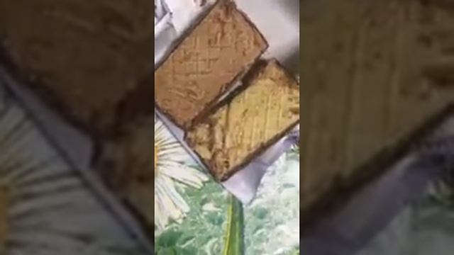 Респ. Башкортостан казахские конфетки с червями!