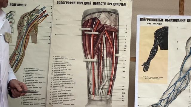 Уход за волосами с использованием масок