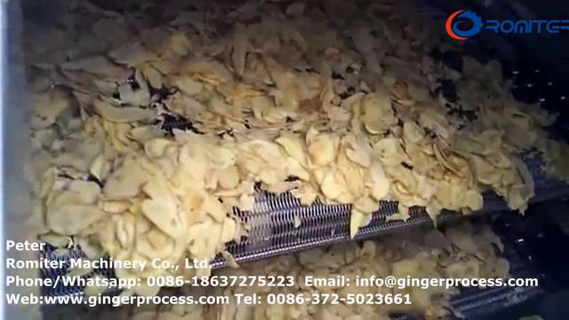 Полностью автоматическая многослойная сушильная печь для ломтиков имбиря на продажу